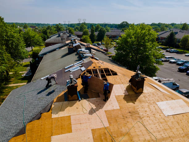 Best Flat Roof Repair Services  in Bradner, OH