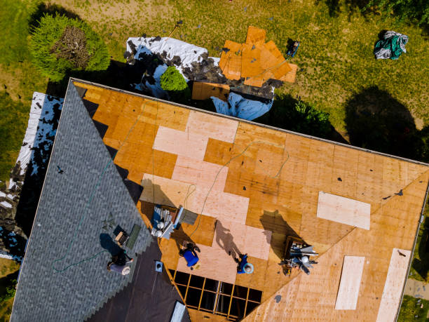 Best Metal Roofing Contractor  in Bradner, OH